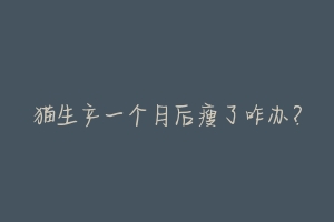 猫生产一个月后瘦了咋办?