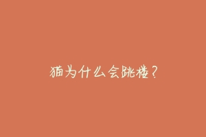 猫为什么会跳楼?