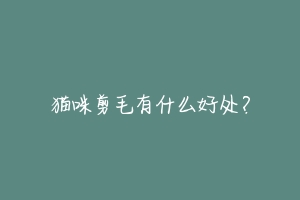 猫咪剪毛有什么好处?