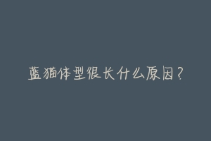 蓝猫体型很长什么原因?