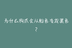 为什么狗爪会从粉色变成黑色？