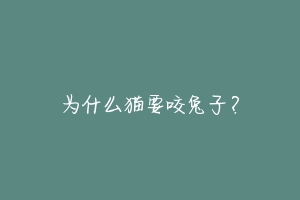 为什么猫要咬兔子?