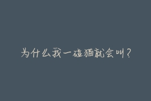 为什么我一碰猫就会叫?