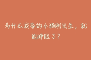 为什么我家的小猫刚出生,就能睁眼了?
