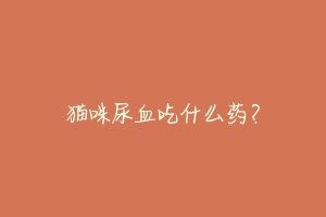 猫咪尿血吃什么药?