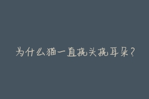 为什么猫一直挠头挠耳朵?
