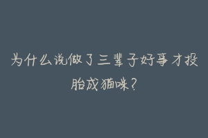 为什么说做了三辈子好事才投胎成猫咪?