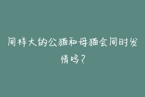 同样大的公猫和母猫会同时发情吗?