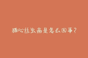 猫心丝虫病是怎么回事?