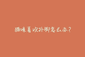 猫咪喜欢扑脚怎么办?