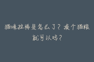 猫咪拉稀是怎么了?换个猫粮就可以吗?