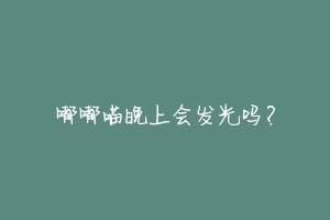 嘟嘟喵晚上会发光吗?