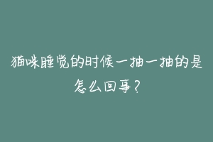 猫咪睡觉的时候一抽一抽的是怎么回事?