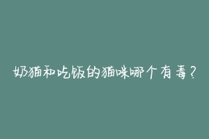 奶猫和吃饭的猫咪哪个有毒？
