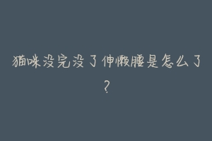 猫咪没完没了伸懒腰是怎么了?