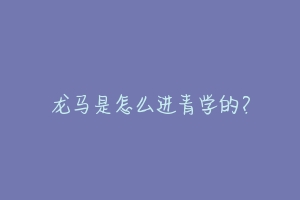 龙马是怎么进青学的?