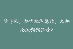 坐飞机,如何托运宠物,比如托运狗狗猫咪?