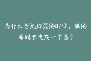 为什么当光线弱的时候,猫的眼睛会变成一个圆?