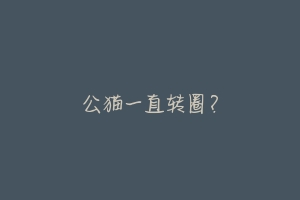 公猫一直转圈?