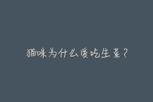 猫咪为什么爱吃生菜?