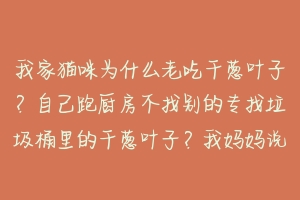 我家猫咪为什么老吃干葱叶子?自己跑厨房不找别的专找垃圾桶里的干葱叶子?我妈妈说它是不是身体里缺什么?