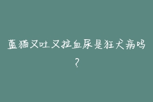 蓝猫又吐又拉血尿是狂犬病吗?