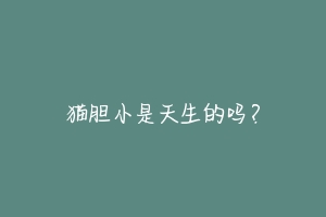猫胆小是天生的吗?