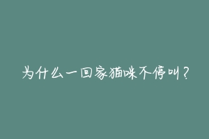 为什么一回家猫咪不停叫?