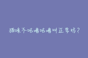 猫咪不咕噜咕噜叫正常吗?