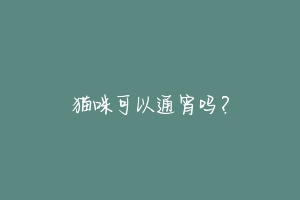 猫咪可以通宵吗?