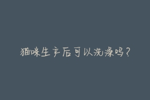 猫咪生产后可以洗澡吗?