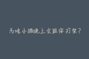 为啥小猫晚上会跟你打架?