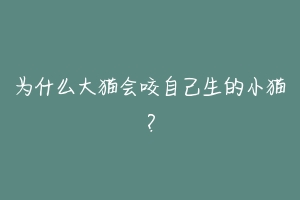 为什么大猫会咬自己生的小猫?