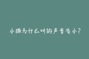小猫为什么叫的声音变小?
