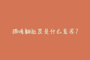 猫咪翻肚皮是什么意思?
