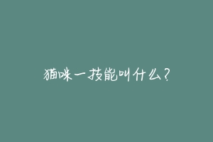 猫咪一技能叫什么?