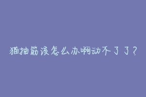 猫抽筋该怎么办啊动不了了?