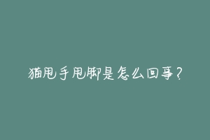 猫甩手甩脚是怎么回事？