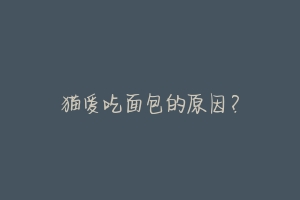 猫爱吃面包的原因?