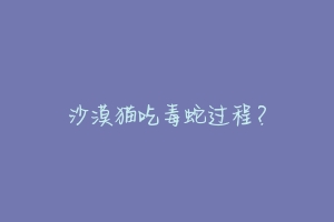 沙漠猫吃毒蛇过程?