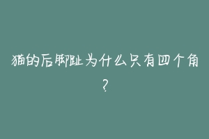 猫的后脚趾为什么只有四个角?