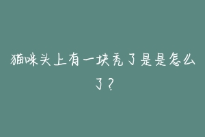 猫咪头上有一块秃了是是怎么了?