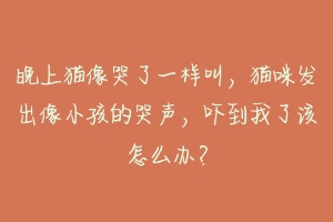 晚上猫像哭了一样叫,猫咪发出像小孩的哭声,吓到我了该怎么办?