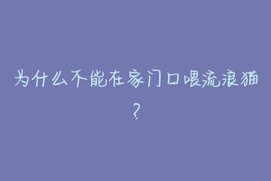 为什么不能在家门口喂流浪猫?