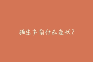 猫生产前什么症状?