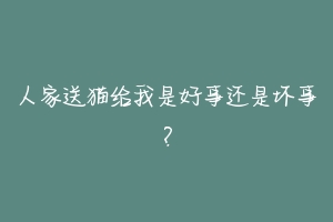人家送猫给我是好事还是坏事?