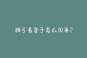 猫弓着身子怎么回事?