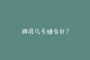 猫用几号缝合针?