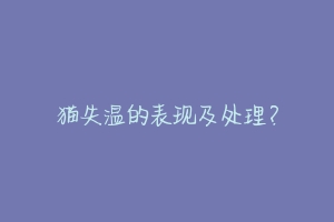 猫失温的表现及处理?