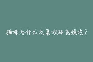 猫咪为什么老喜欢抓苍蝇吃?